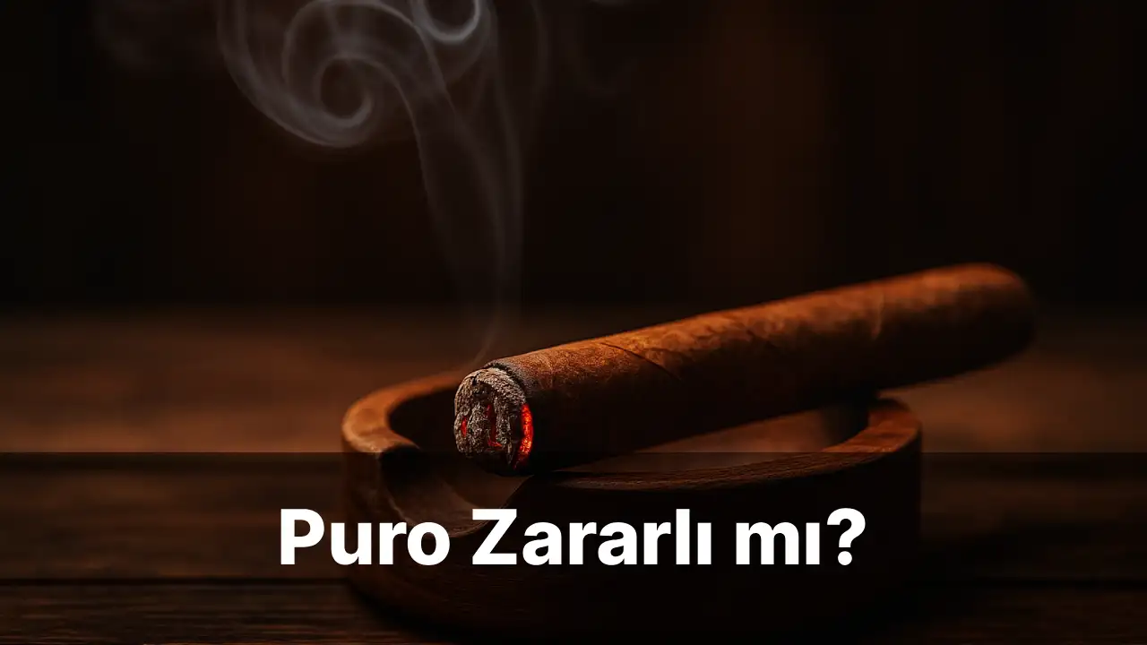 Puro Zararlı mı?