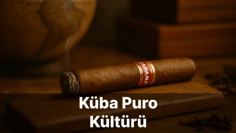 Küba Puro Kültürü