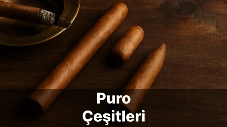 Puro Çeşitleri