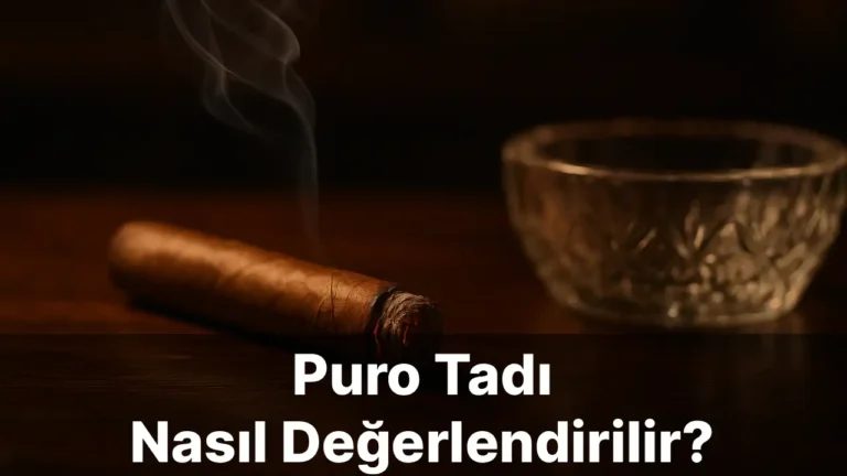 Puro Tadı Nasıl Değerlendirilir?