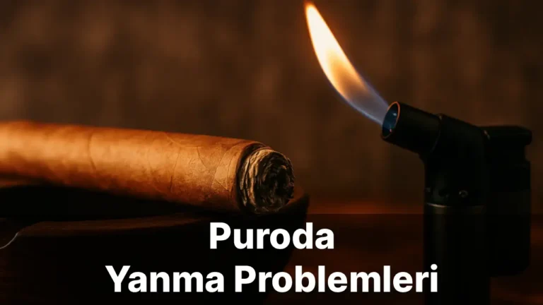 Puroda Yanma Problemleri